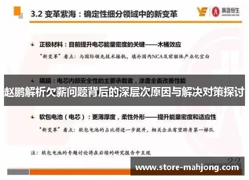 赵鹏解析欠薪问题背后的深层次原因与解决对策探讨