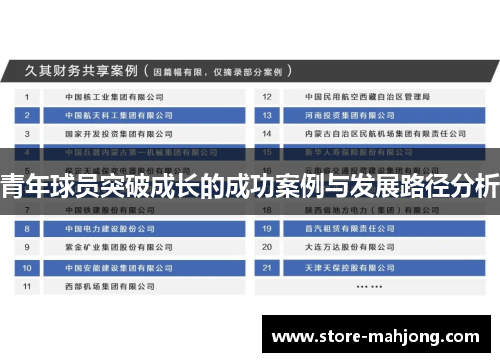 青年球员突破成长的成功案例与发展路径分析