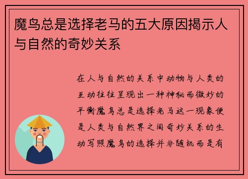 魔鸟总是选择老马的五大原因揭示人与自然的奇妙关系